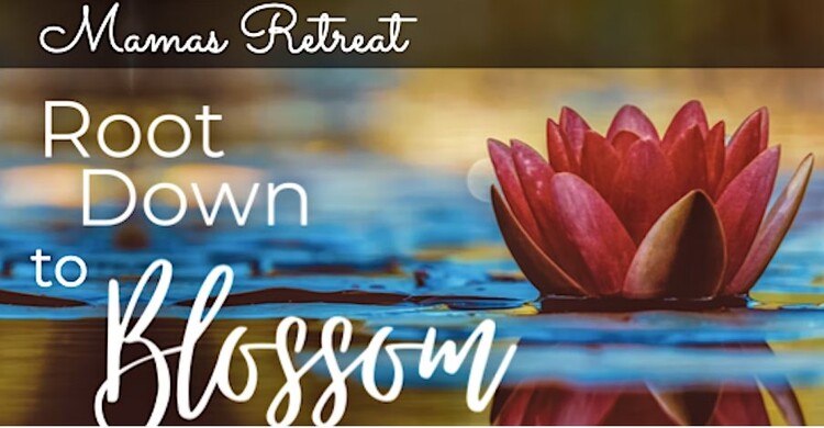 Root Down to Blossom - Day Retreat: AUtumn session