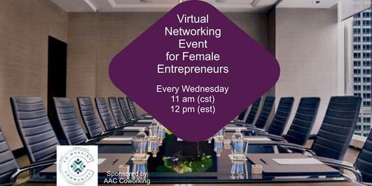 Networking for Female Entrepreneurs - Online